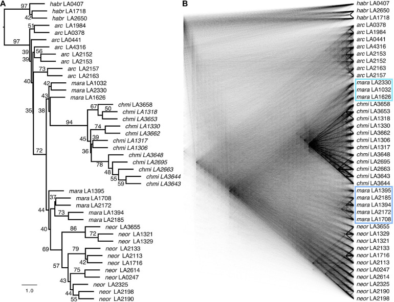 FIGURE 3