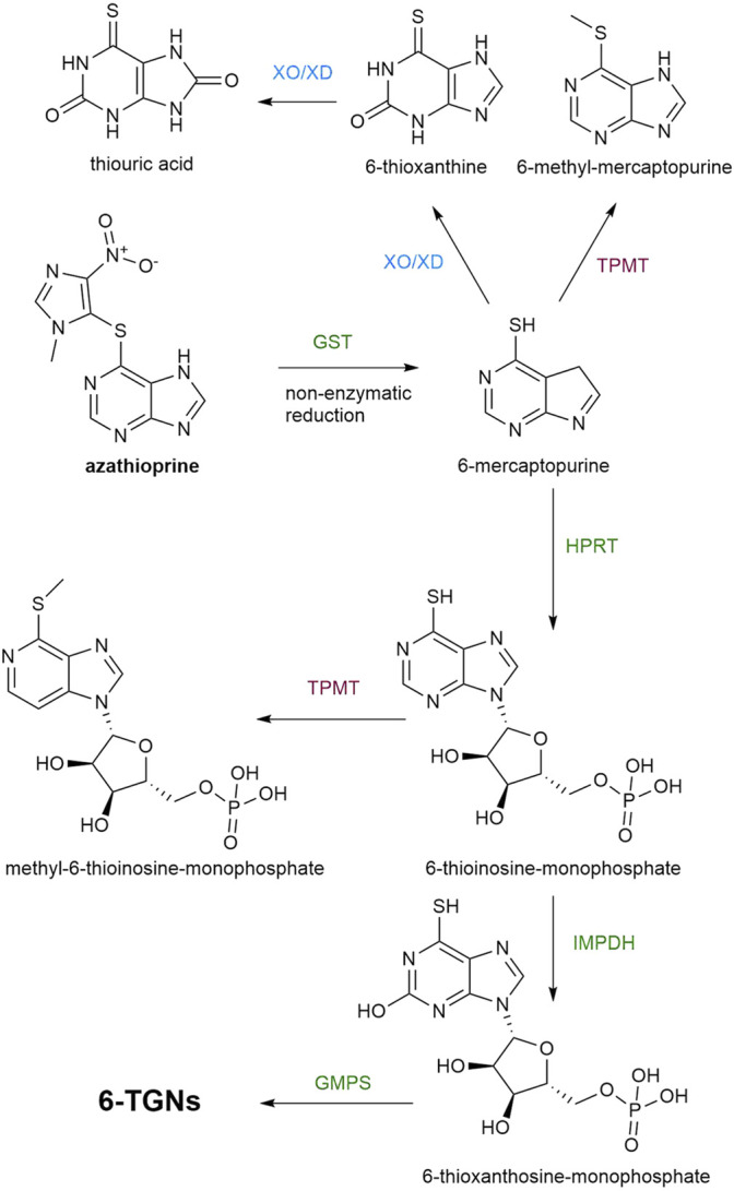 FIGURE 1