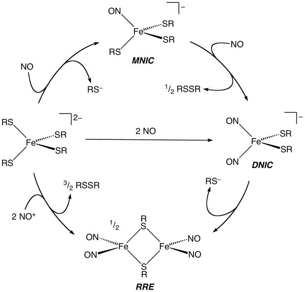 Scheme 4