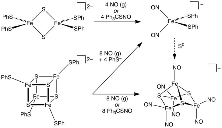 Scheme 5