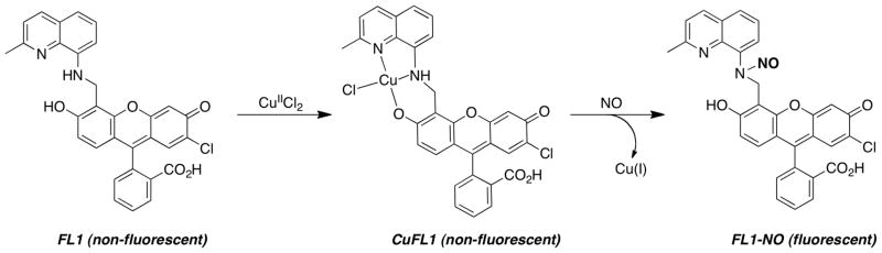 Scheme 2