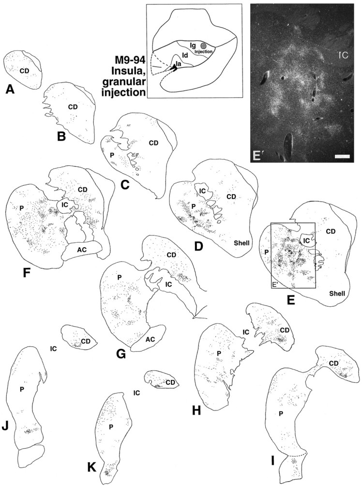 Fig. 14.