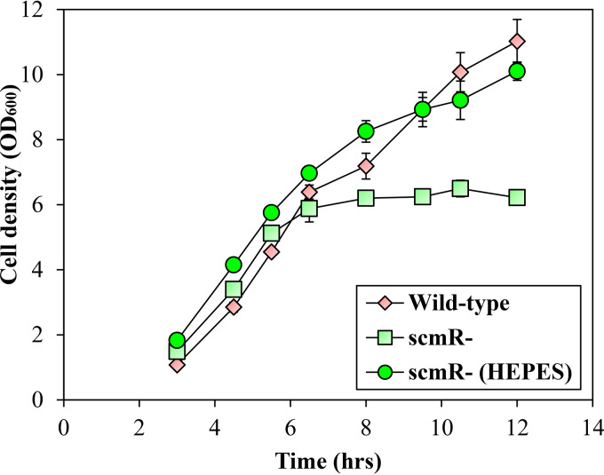 FIG 2