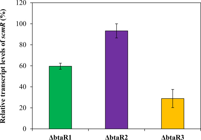 FIG 6