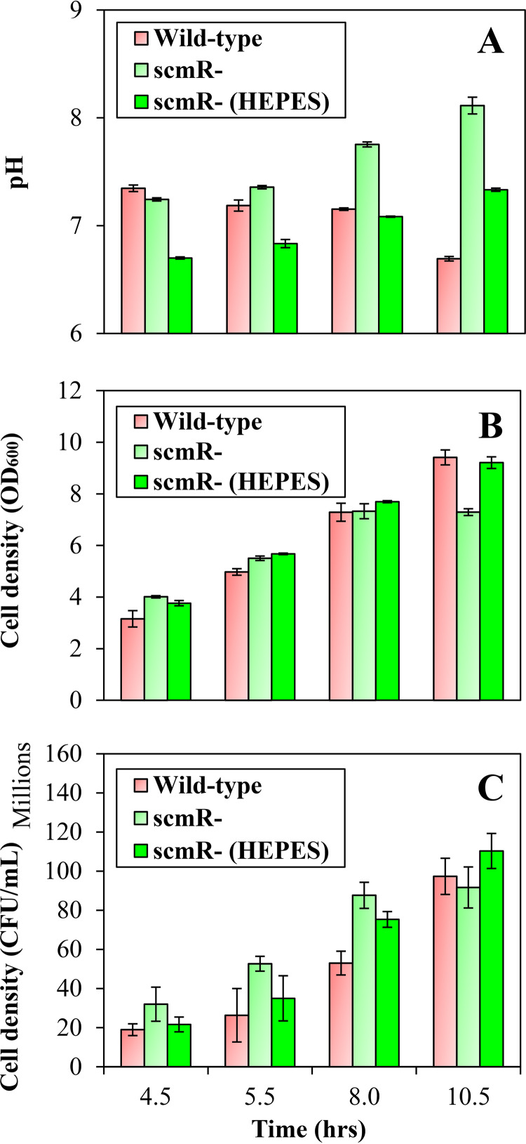 FIG 3