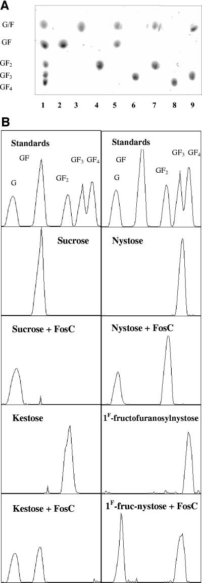 FIG. 5.