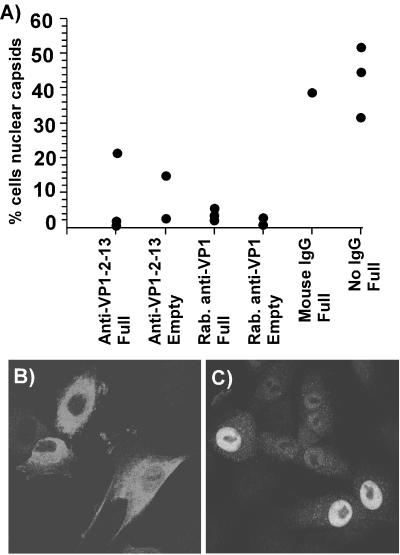 FIG. 6.