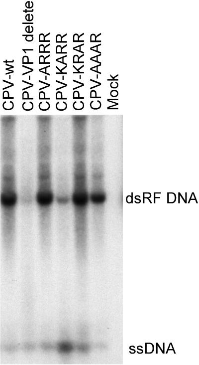 FIG. 7.