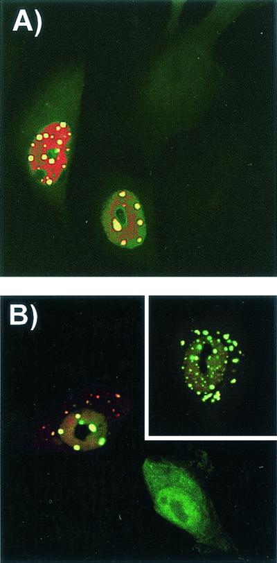 FIG. 5.