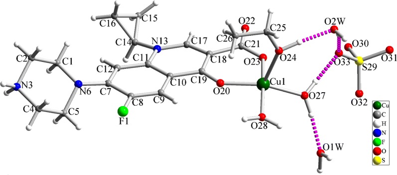 Fig. 1