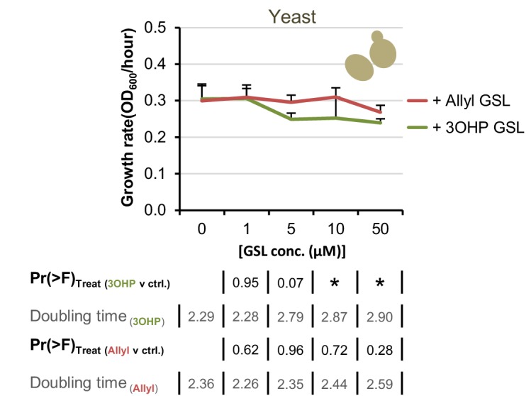 Figure 3—figure supplement 1.