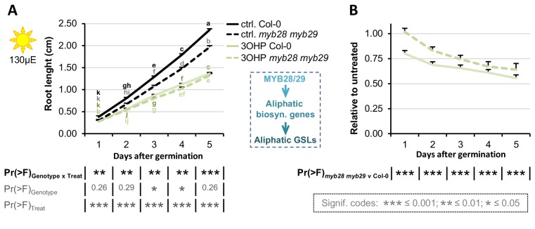 Figure 1—figure supplement 1.