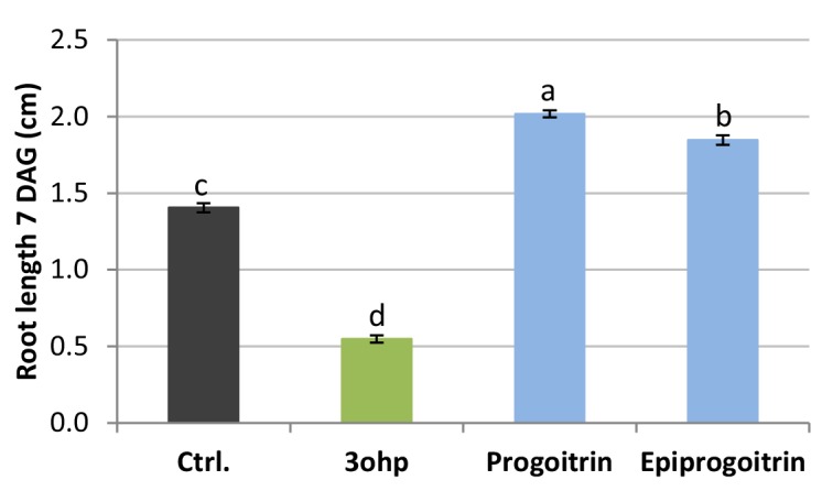 Figure 2—figure supplement 1.