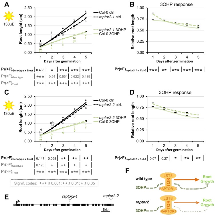 Figure 5—figure supplement 3.