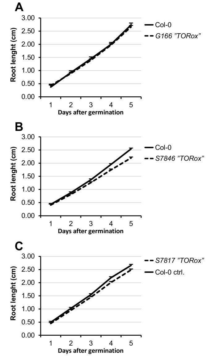 Figure 5—figure supplement 1.