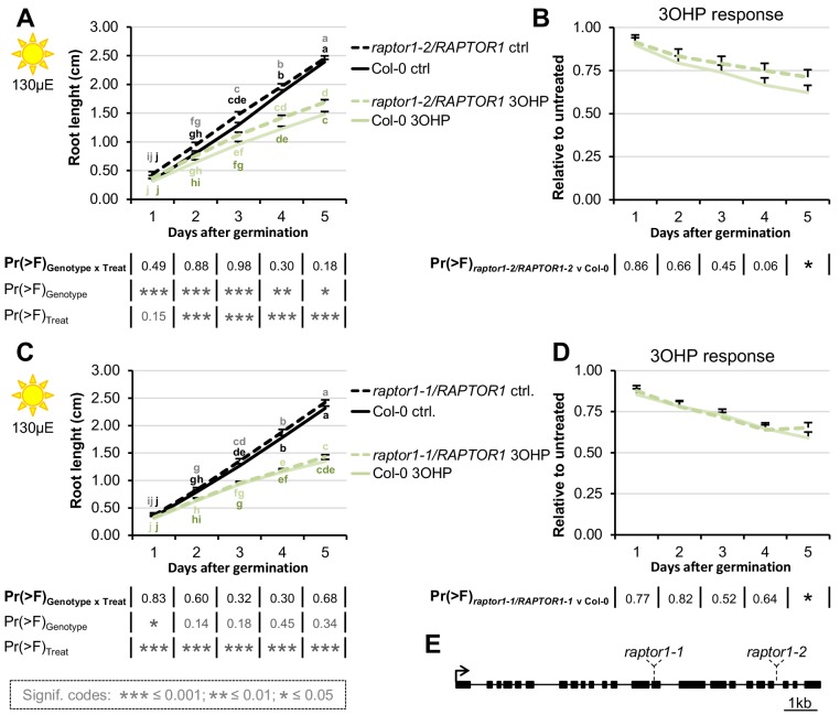 Figure 5—figure supplement 2.