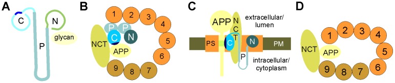 Figure 10