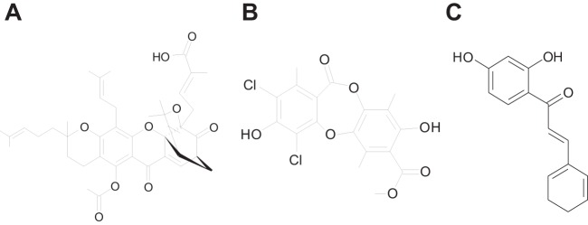 FIG 2