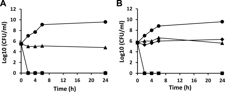 FIG 3