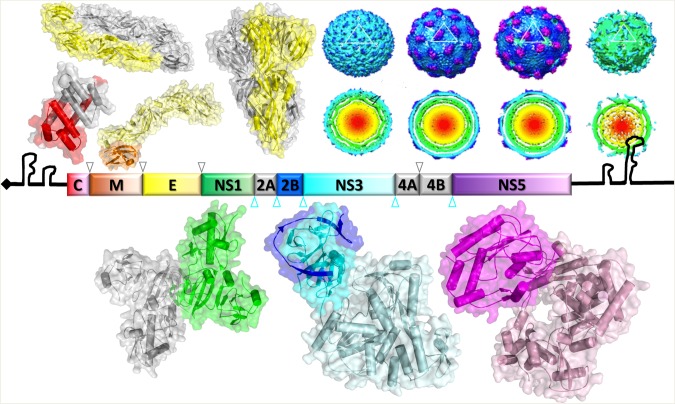 Figure 2.