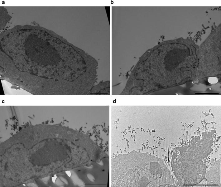 Fig. 2