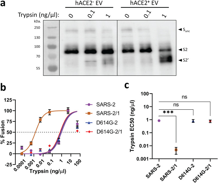 FIG 4