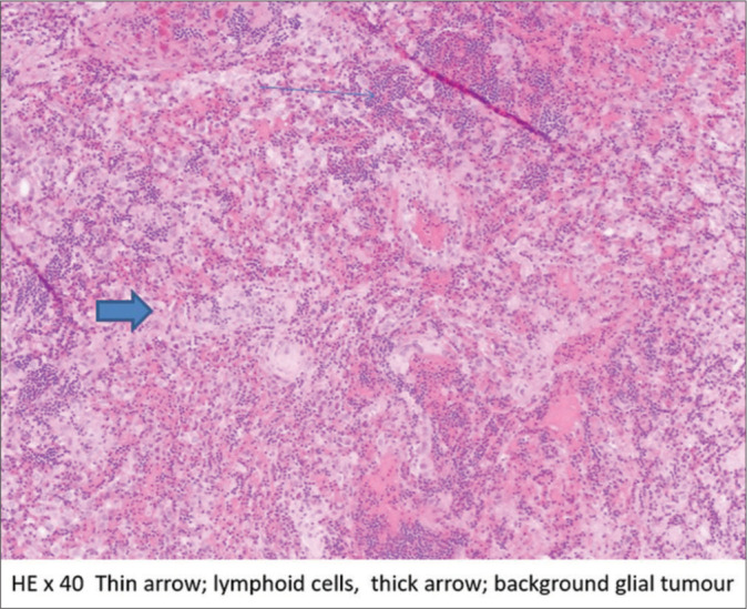 Figure 2: