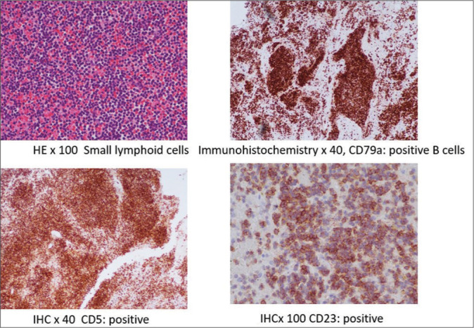 Figure 3: