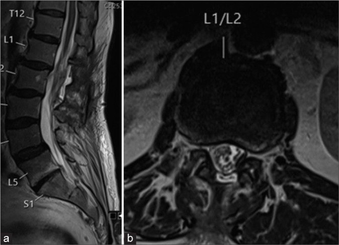 Figure 5: