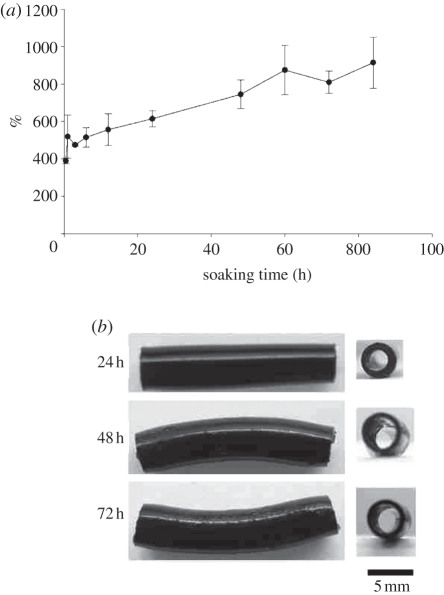 Figure 3.