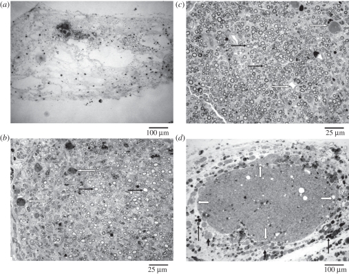 Figure 10.