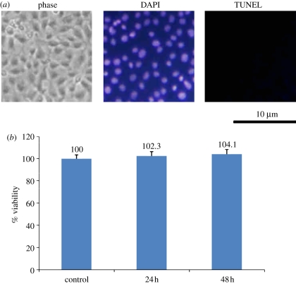 Figure 4.