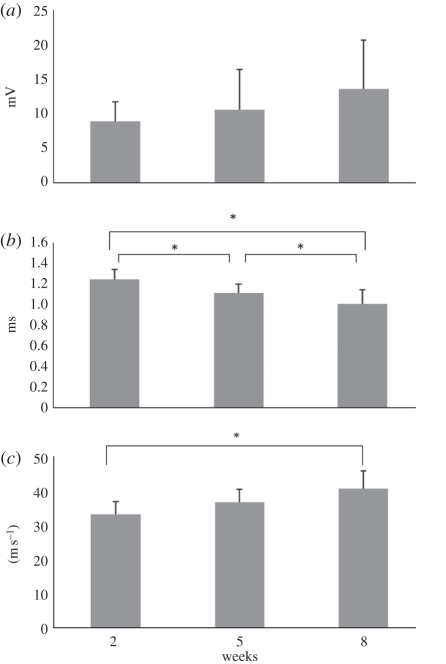 Figure 7.