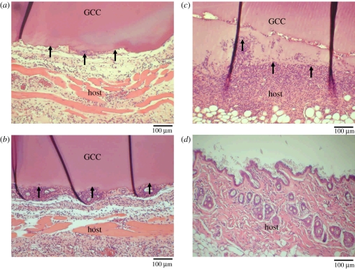 Figure 6.