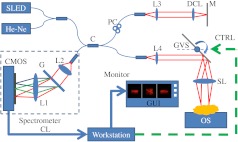 Fig. 1