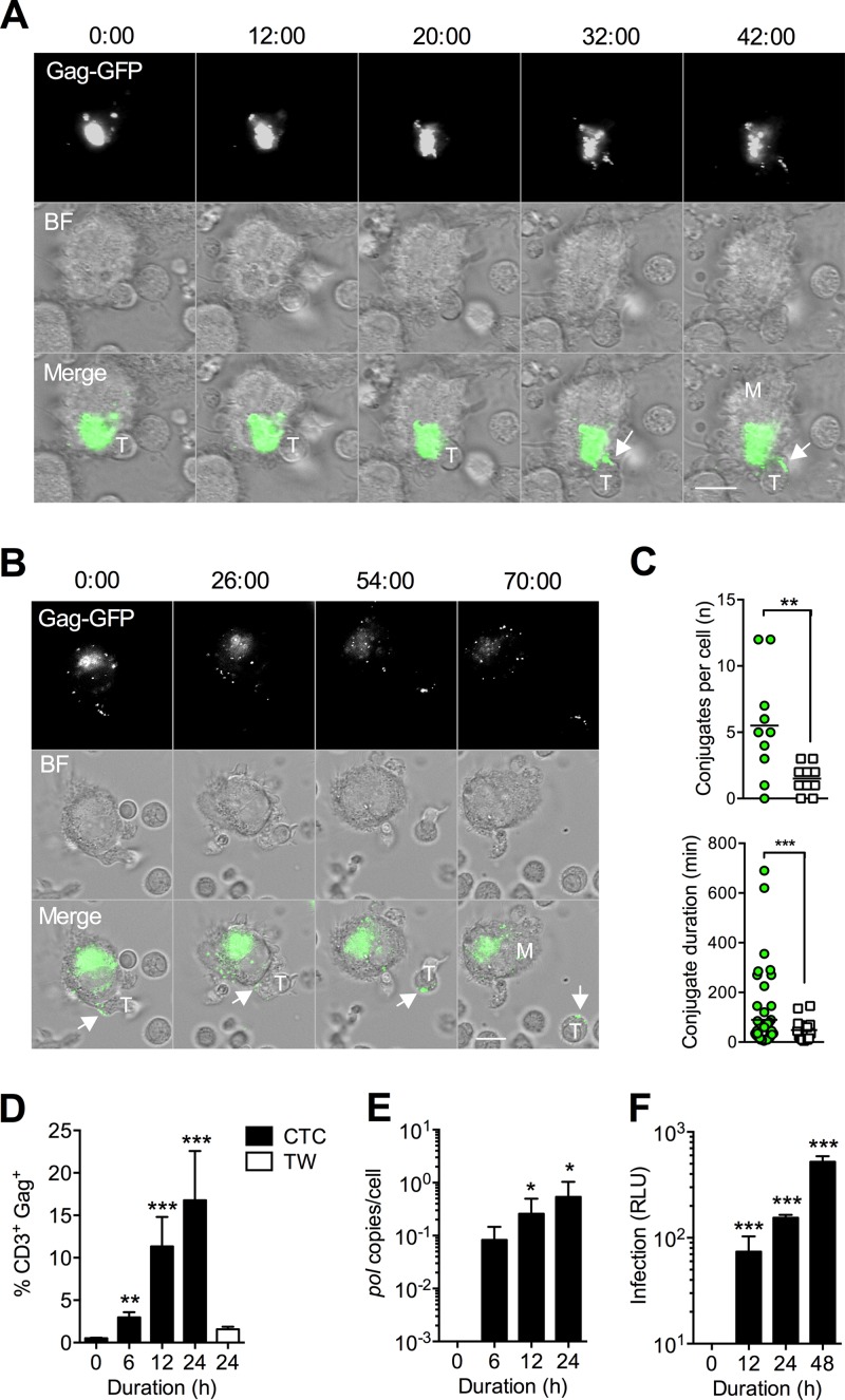 FIG 1