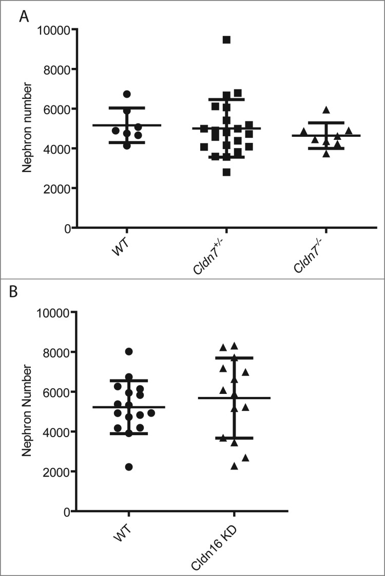 Figure 7.