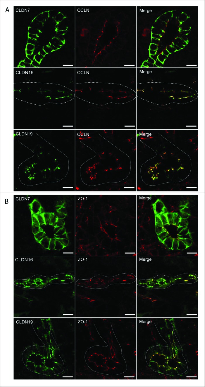 Figure 6.