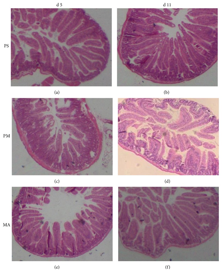 Figure 6