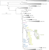 Extended Data Fig. 5