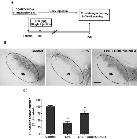 Fig. 7.