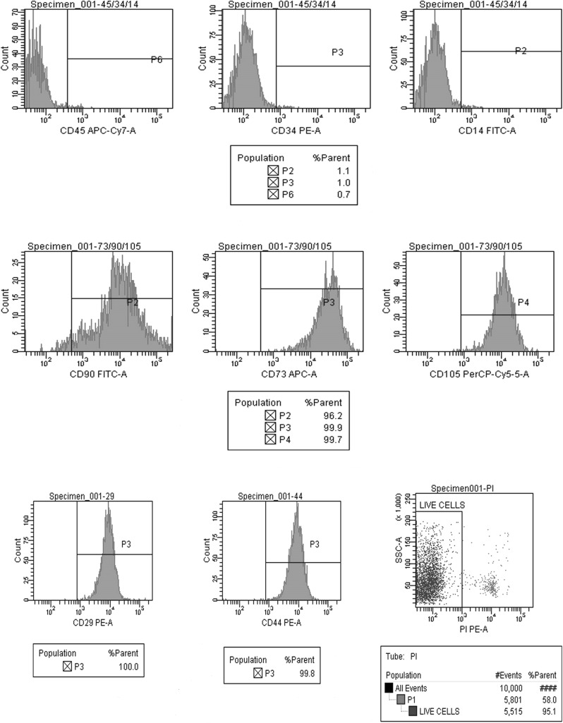 Fig. 8