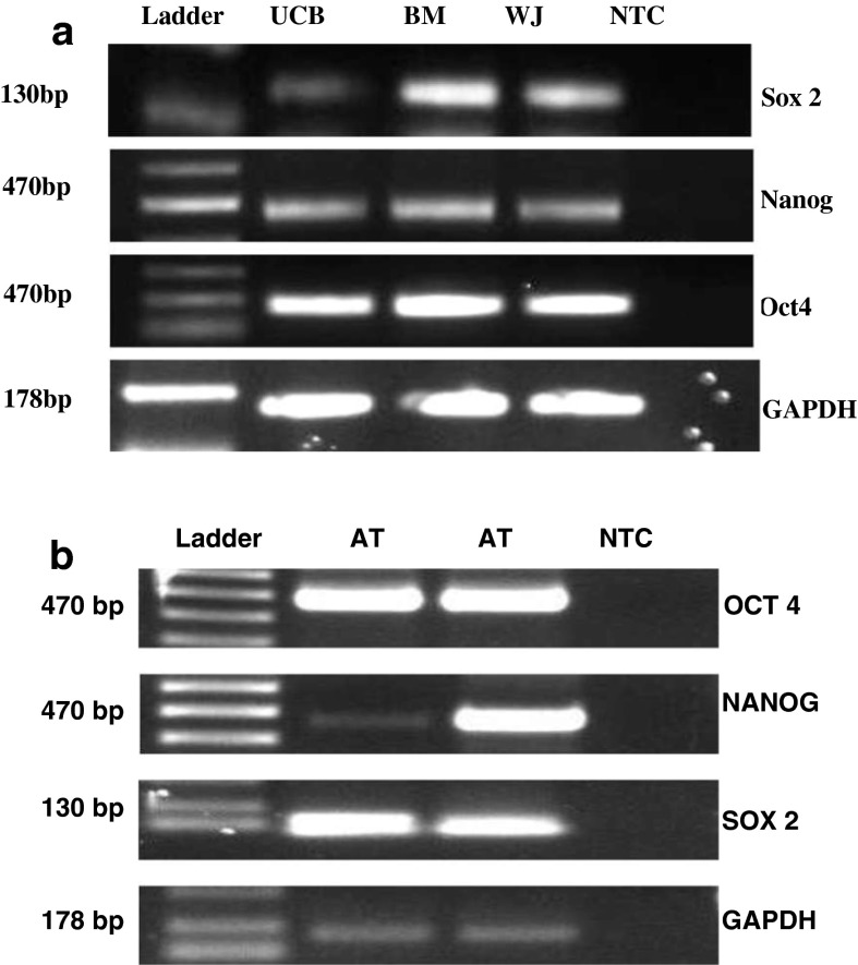 Fig. 11