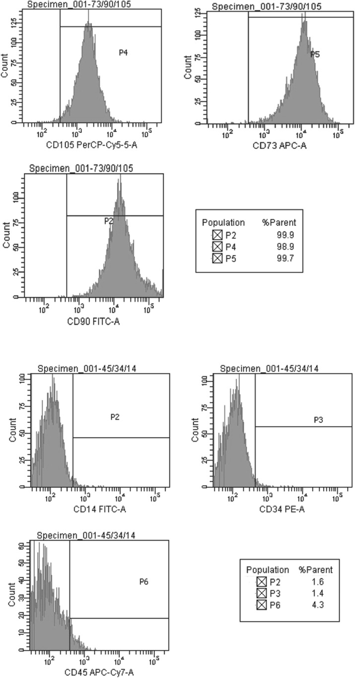 Fig. 9