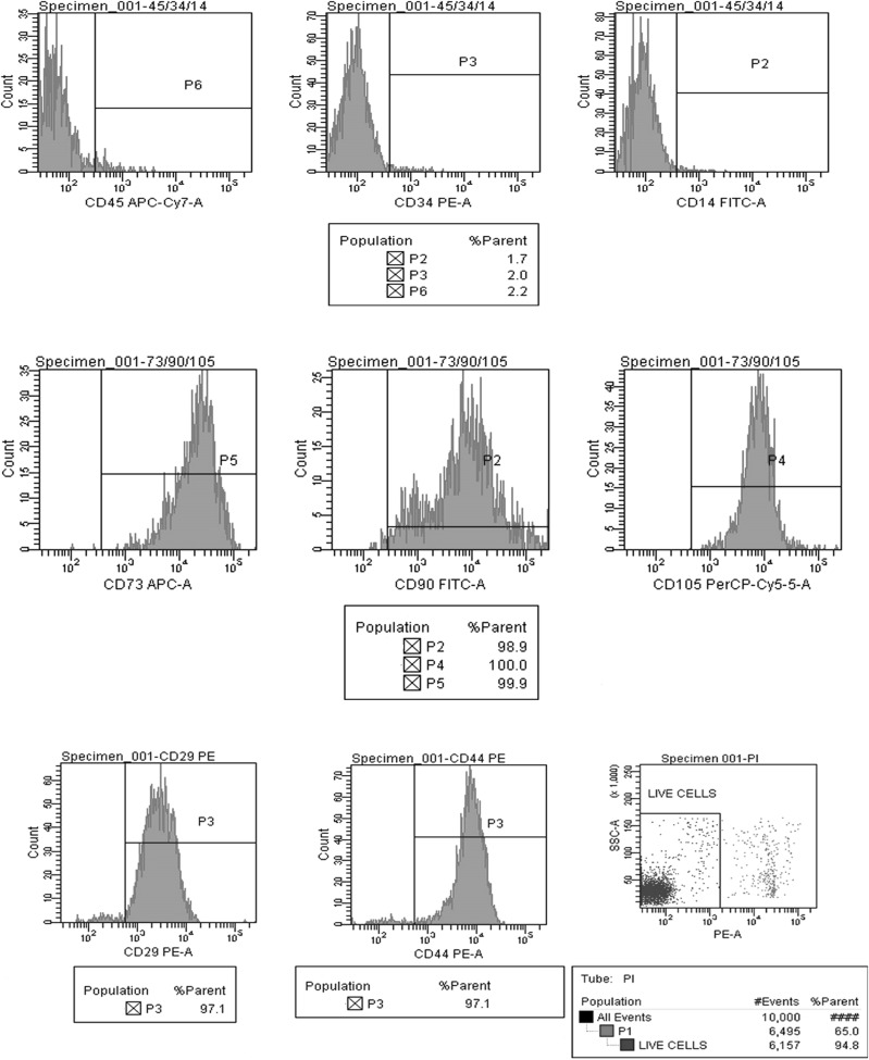 Fig. 7