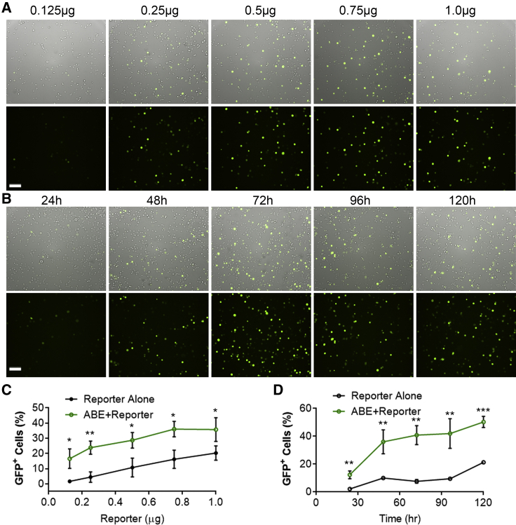 Figure 2