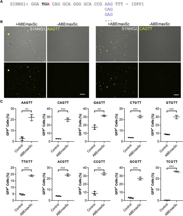 Figure 4