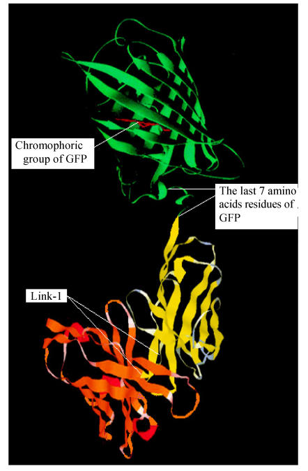 Fig. 8