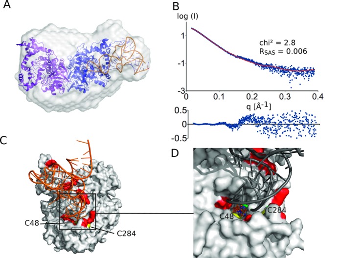 Figure 2.