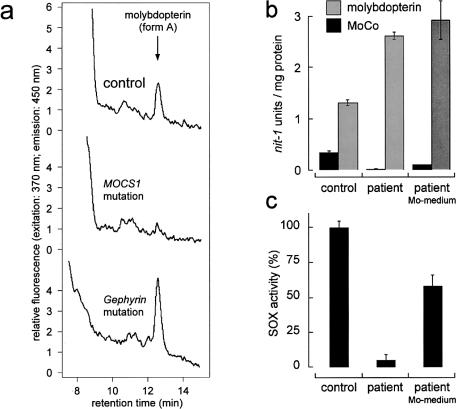 Figure  4